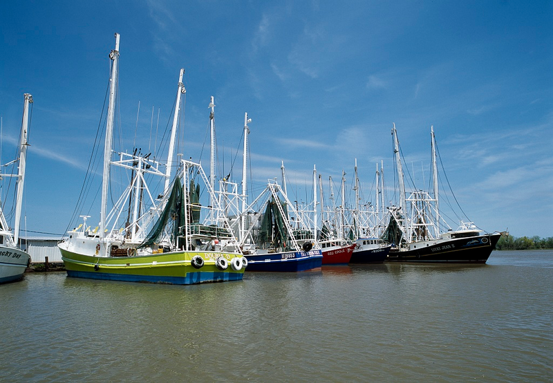 Illustration for article titled Louisiana